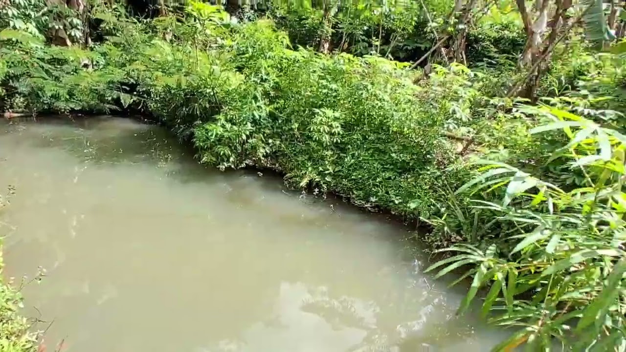 Ngaprak melalui #sungei #hutan sampey ketemu ibu,, #lagih #berkebunsendirian #dago #bandung #jabar