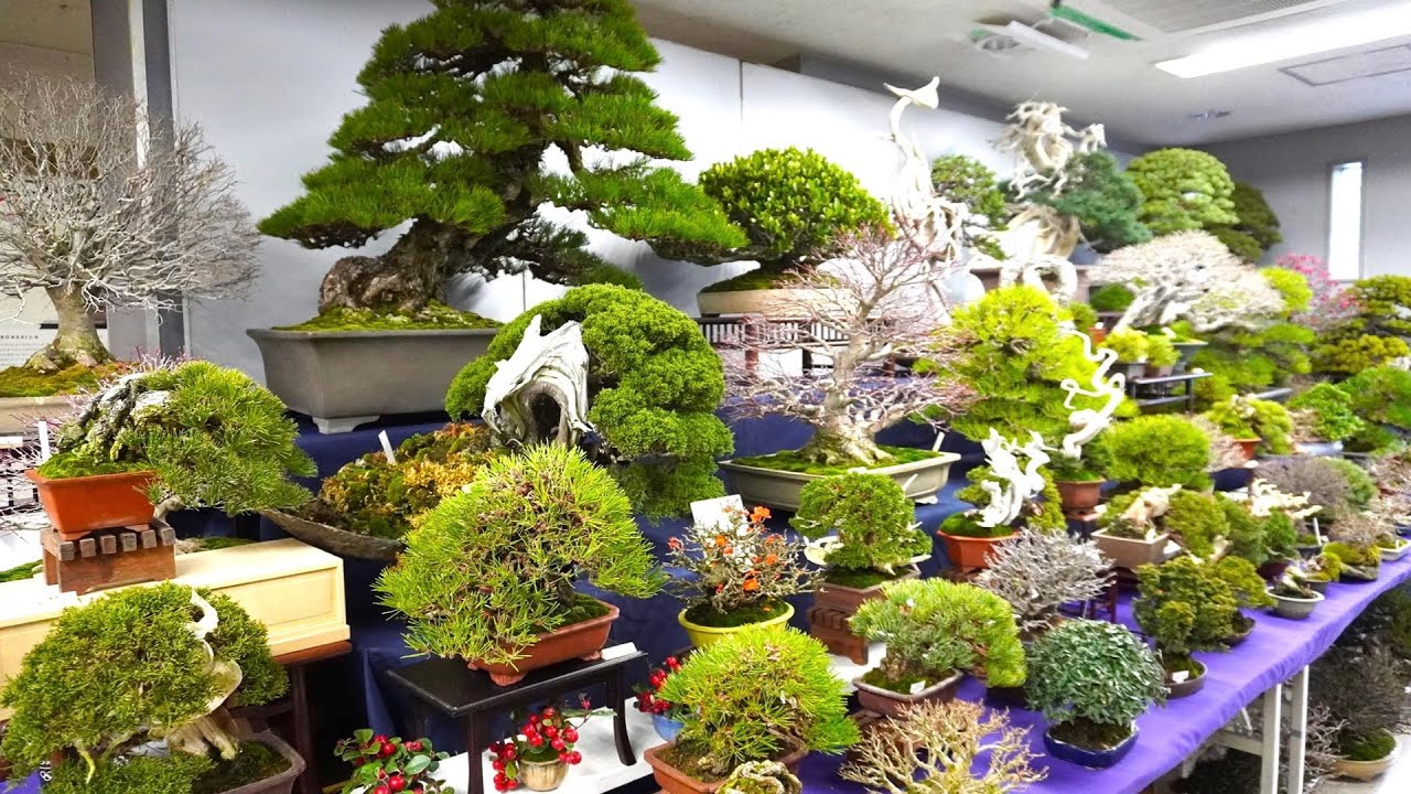 95回 国風展 新春大市 上野グリーンクラブ売店