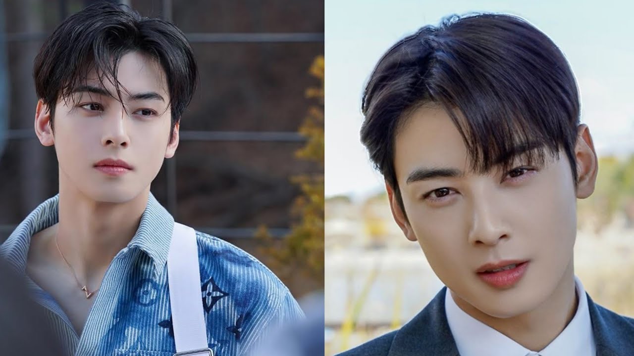 THE TRUE FACTS: Complete Clarification of Cha Eun-woo's Alleged Tax Case Issue