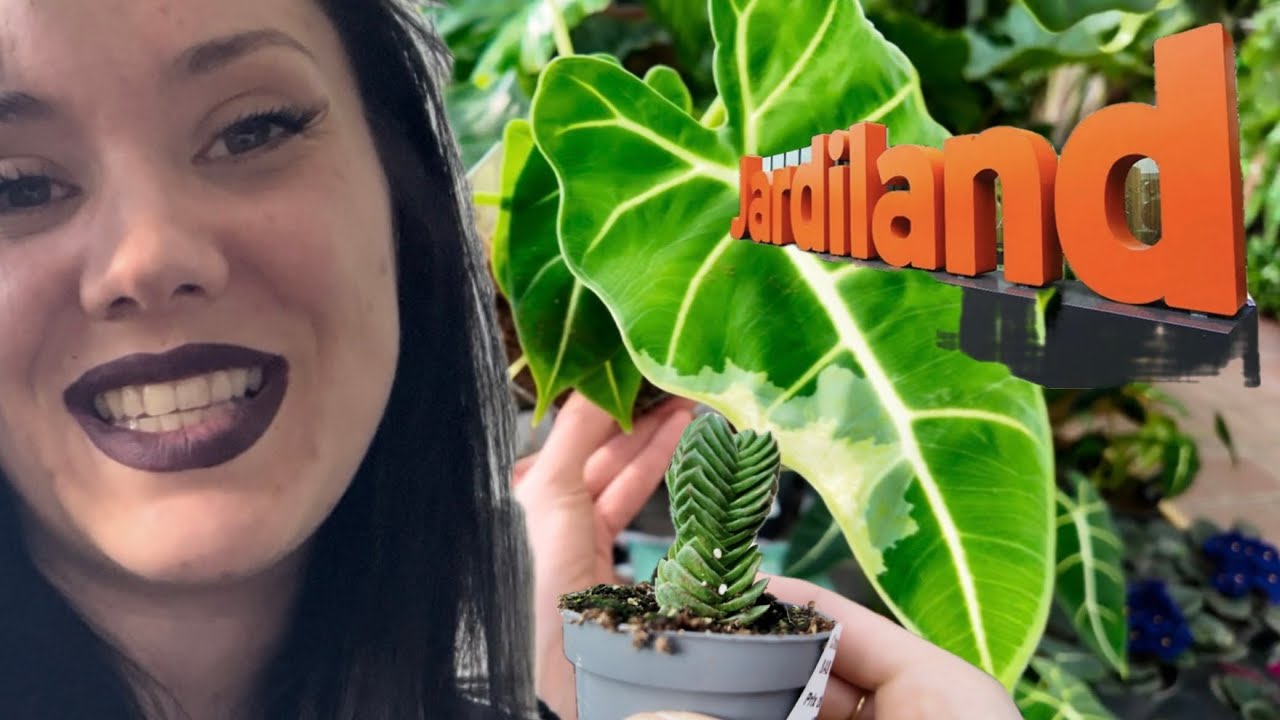 JARDILAND ARTIGUES MARS 2025