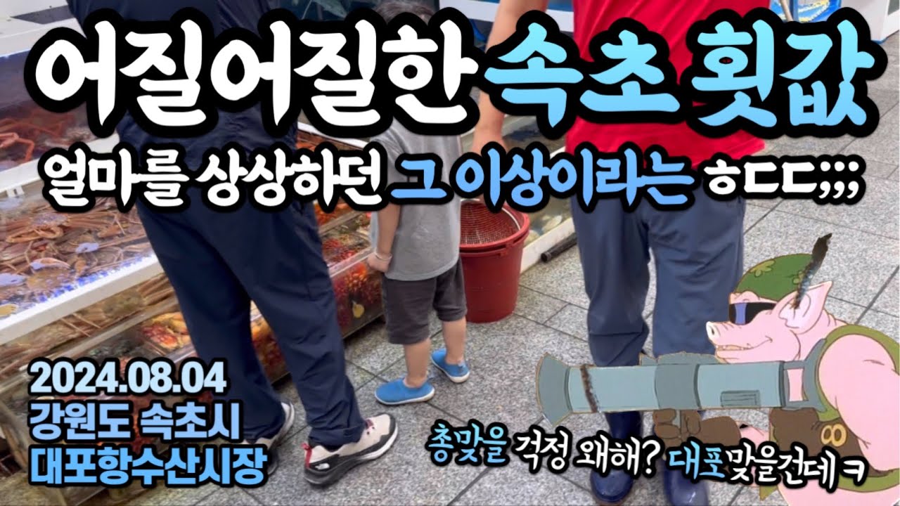“난생 처음보는 가격이에요”물가 1위 도시 속초에서 회를 시키니 벌어지는 일…