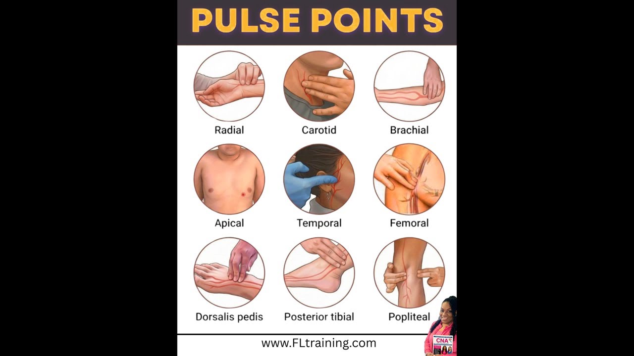 Pulse Points - Live Review with Nurse Eunice