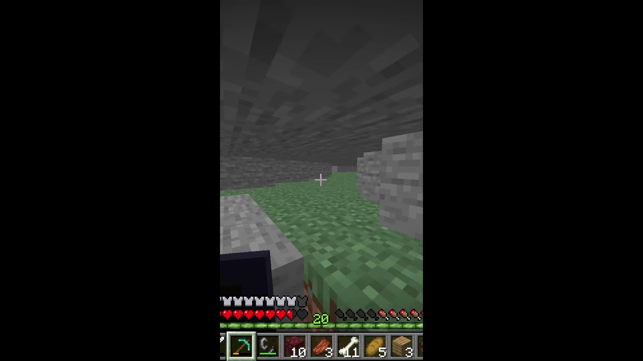 live sur le meilleur serveur minecraft au monde
