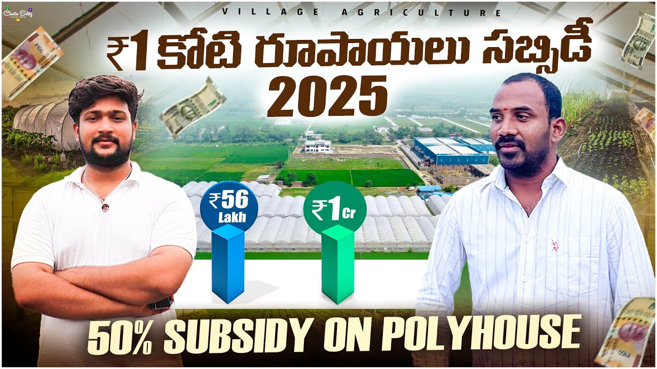 🚨 50% GOVT SUBSIDY up to ₹1 CRORE 💰 | పాలిహౌస్ SUBSIDY 2025 EXPLAINED 🌱 | NHB + AIF పూర్తి వివరాలు