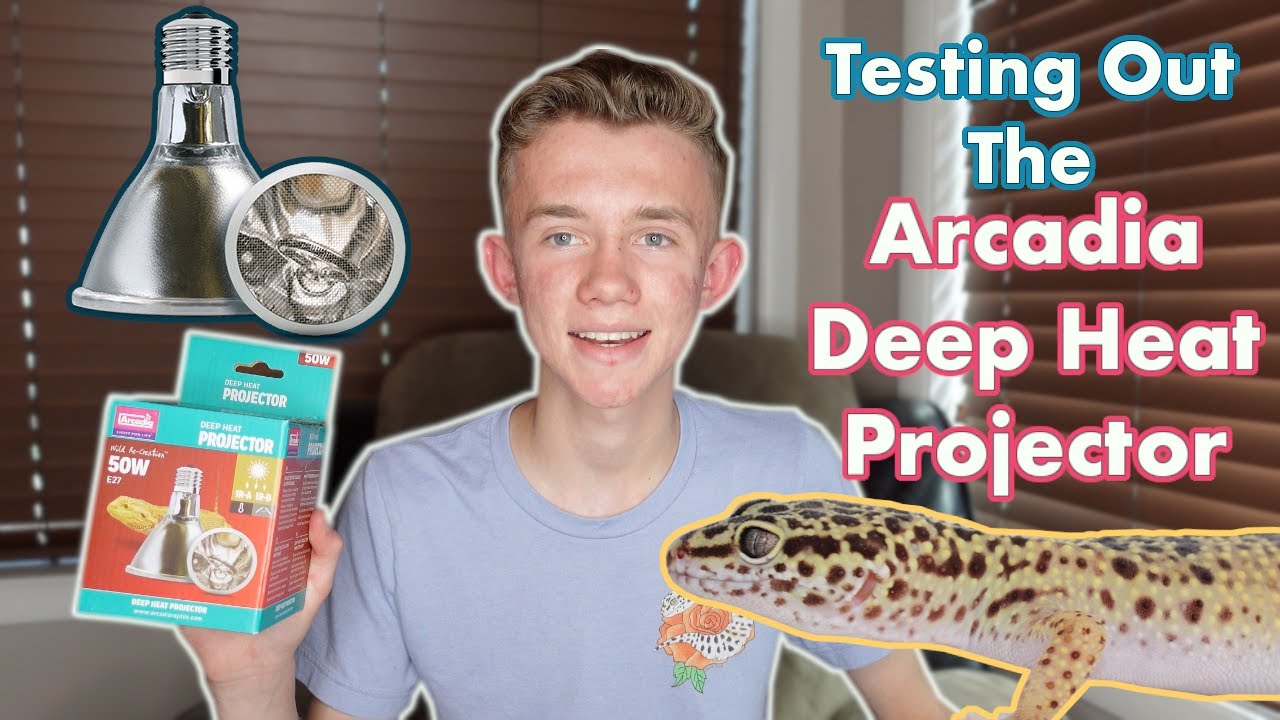 Setting Up an Arcadia Deep Heat Projector for my Leopard Gecko! ☀️