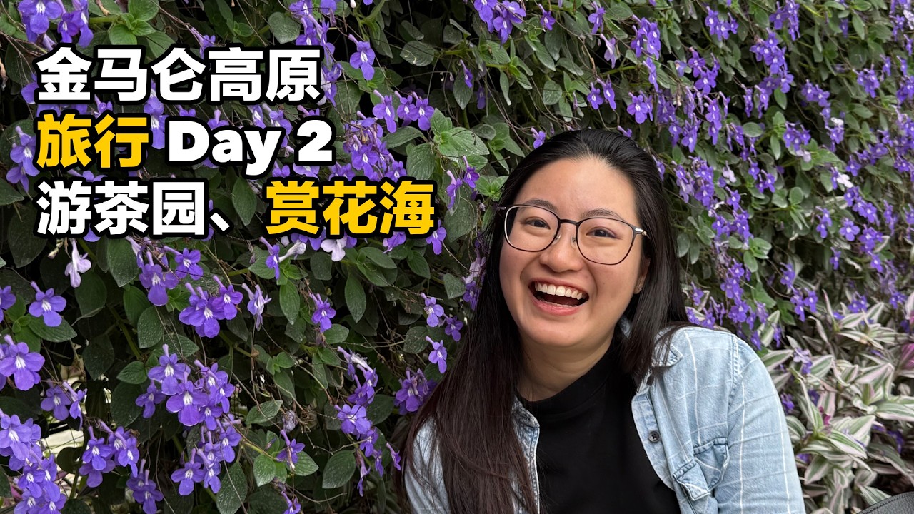 金马仑高原旅行 Day 2 | 露营风民宿体验 + 茶园探秘 + 生吃玉米 + 绝美花海 + 特色西洋菜火锅 + 青苹果牛肉汉堡 #金马仑高原 #马来西亚旅游 #旅行Vlog #金马伦
