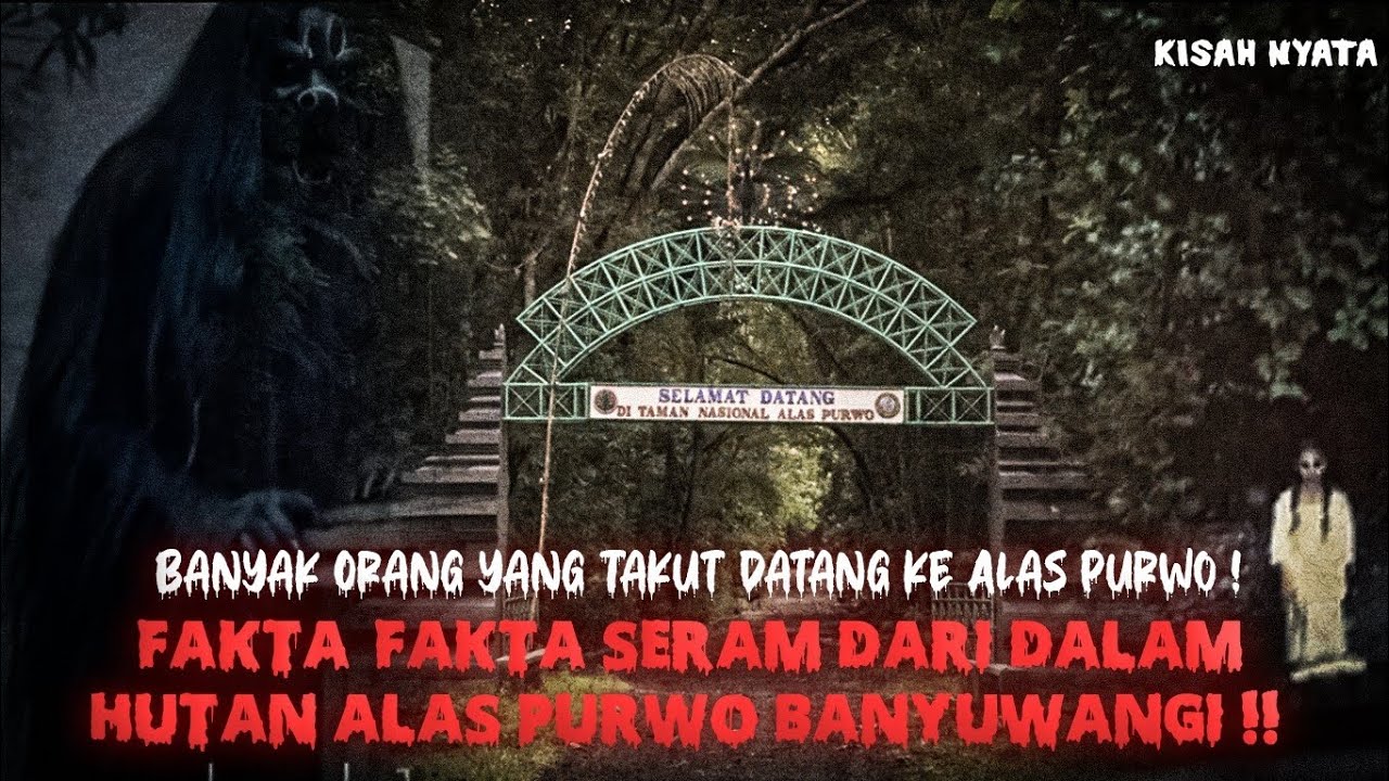 Pengalaman Nyata Terjebak 3 Hari di Hutan Keramat Alas Purwo &mdash; Tak Semua Bisa Kembali