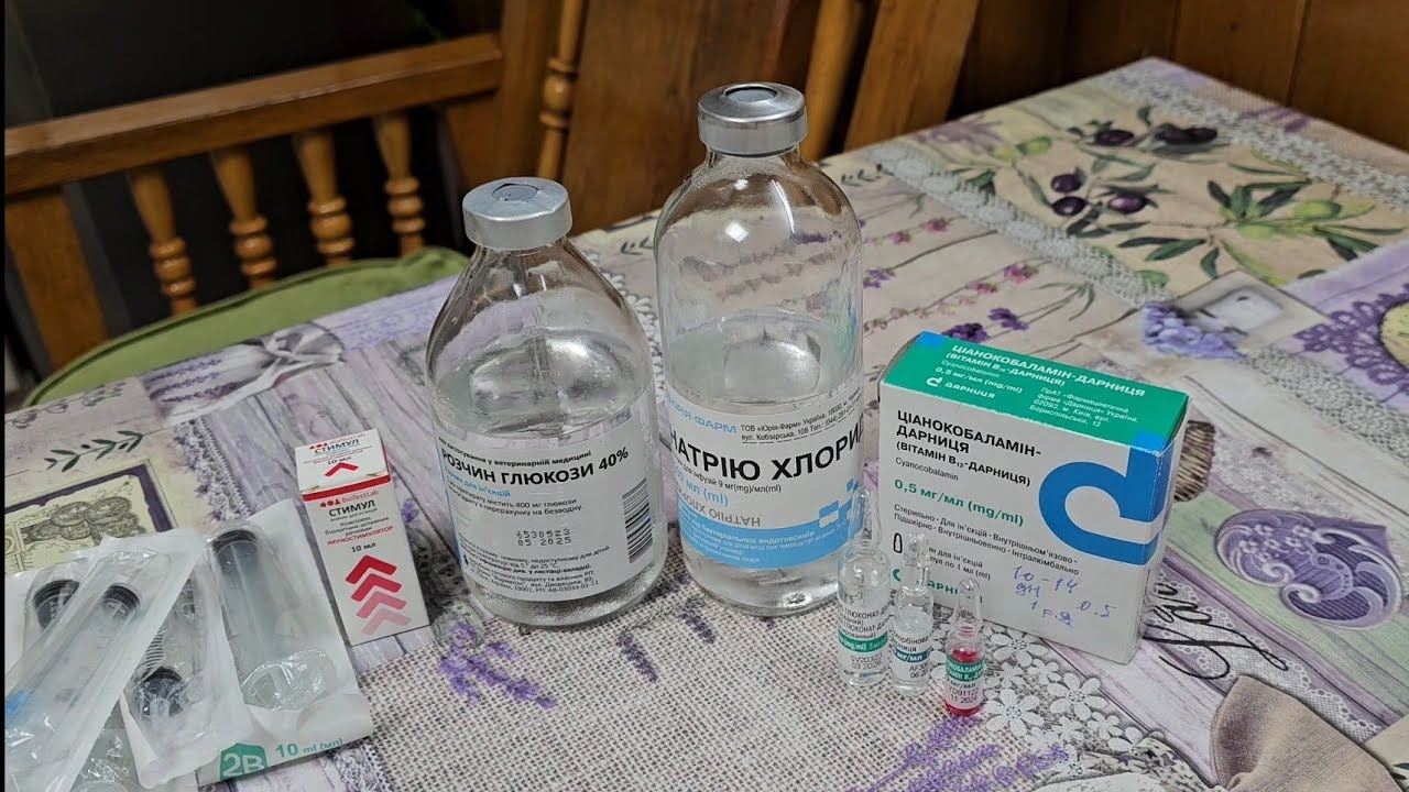 Востановительный коктейль для собаки, после родов