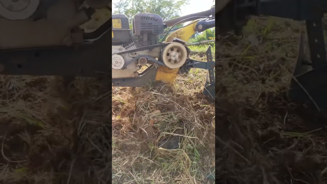 Putaran roda firman ftl900h #pertanian #peternakan #petani