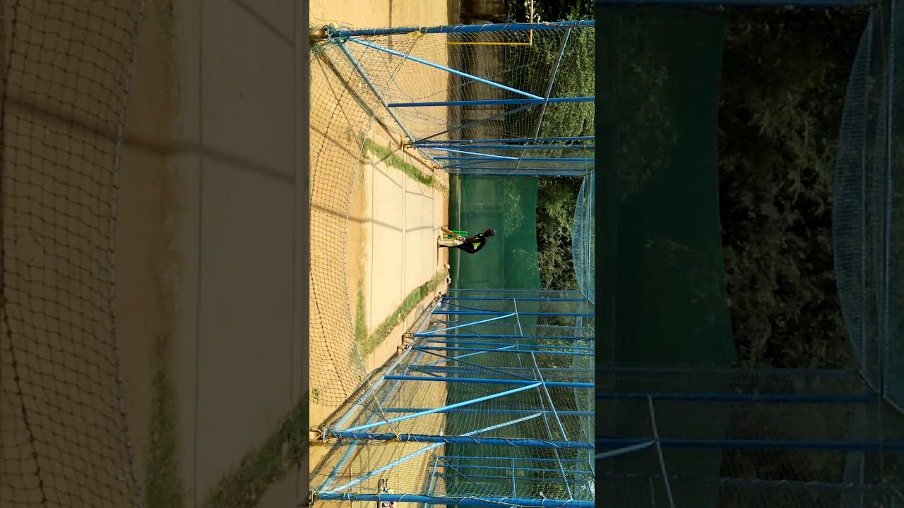 ALPHA CRICKET ACADEMY