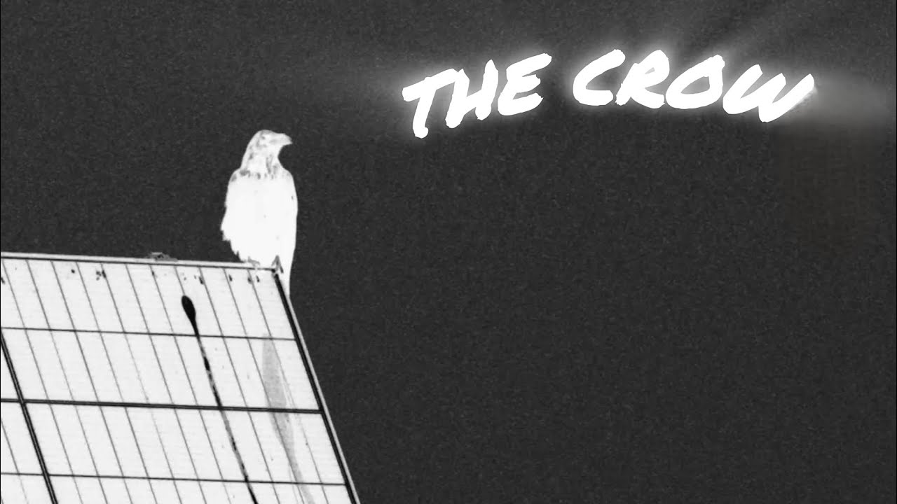 The Crow