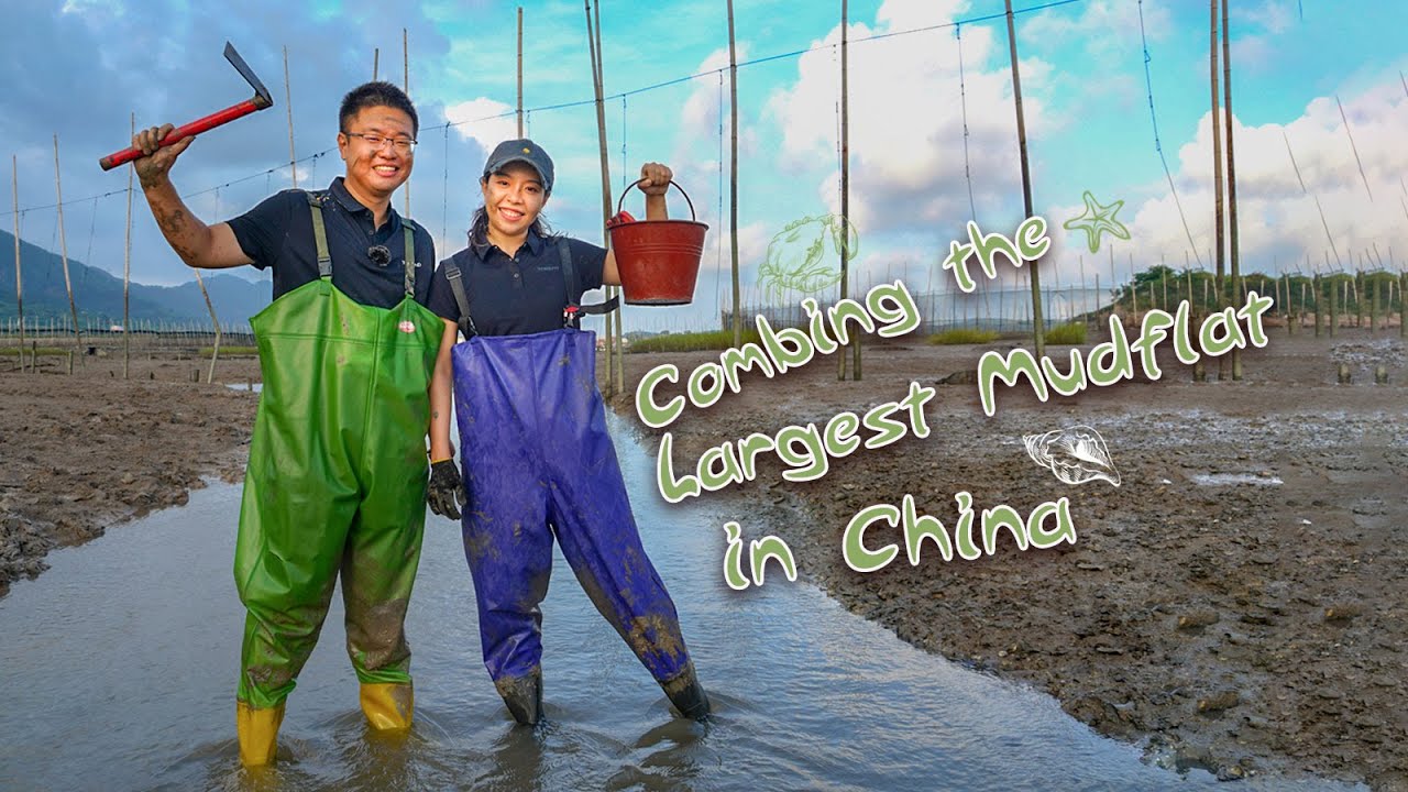 Crabs, Clams, Octopus, Eel.... I Went to the Largest Mudflat in China!