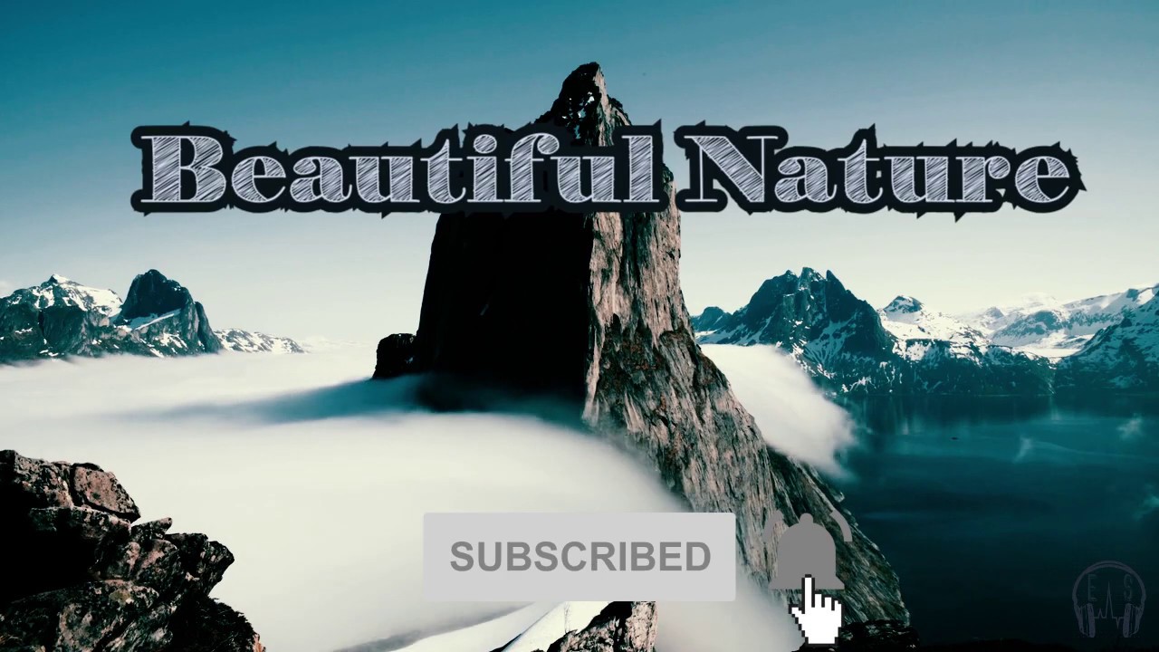 Cool beats | Beautiful nature