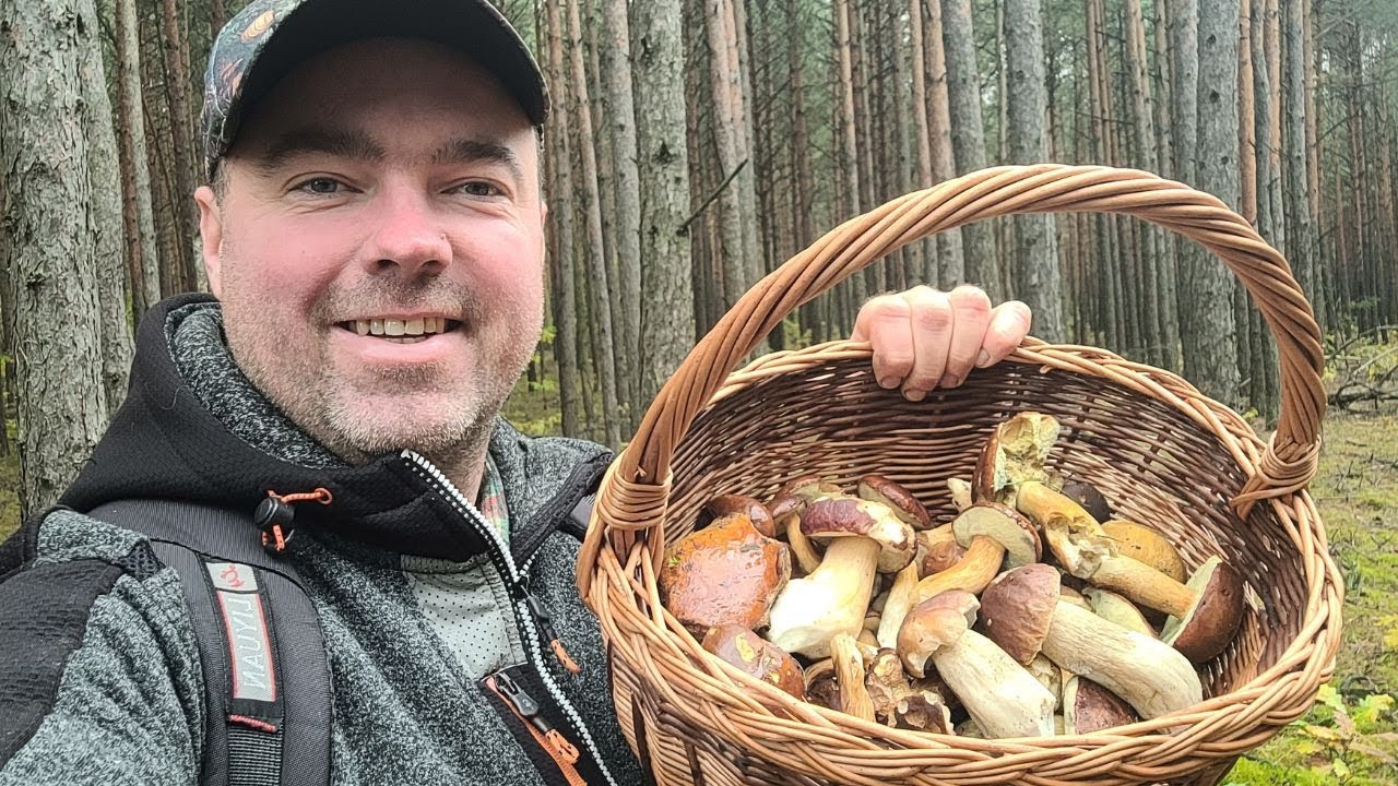 GRZYBOBRANIE W PUSZCZY KOZIENICKIEJ 12.10.25