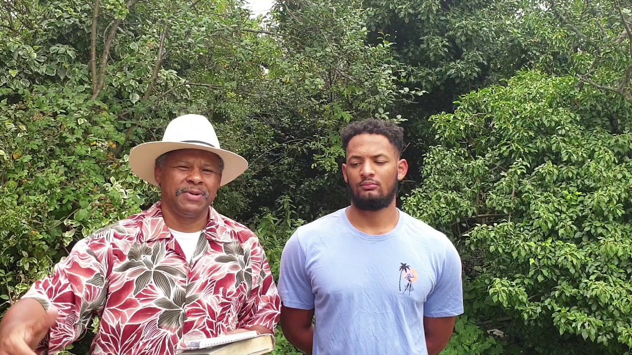 Prophetic Word for August 2019
