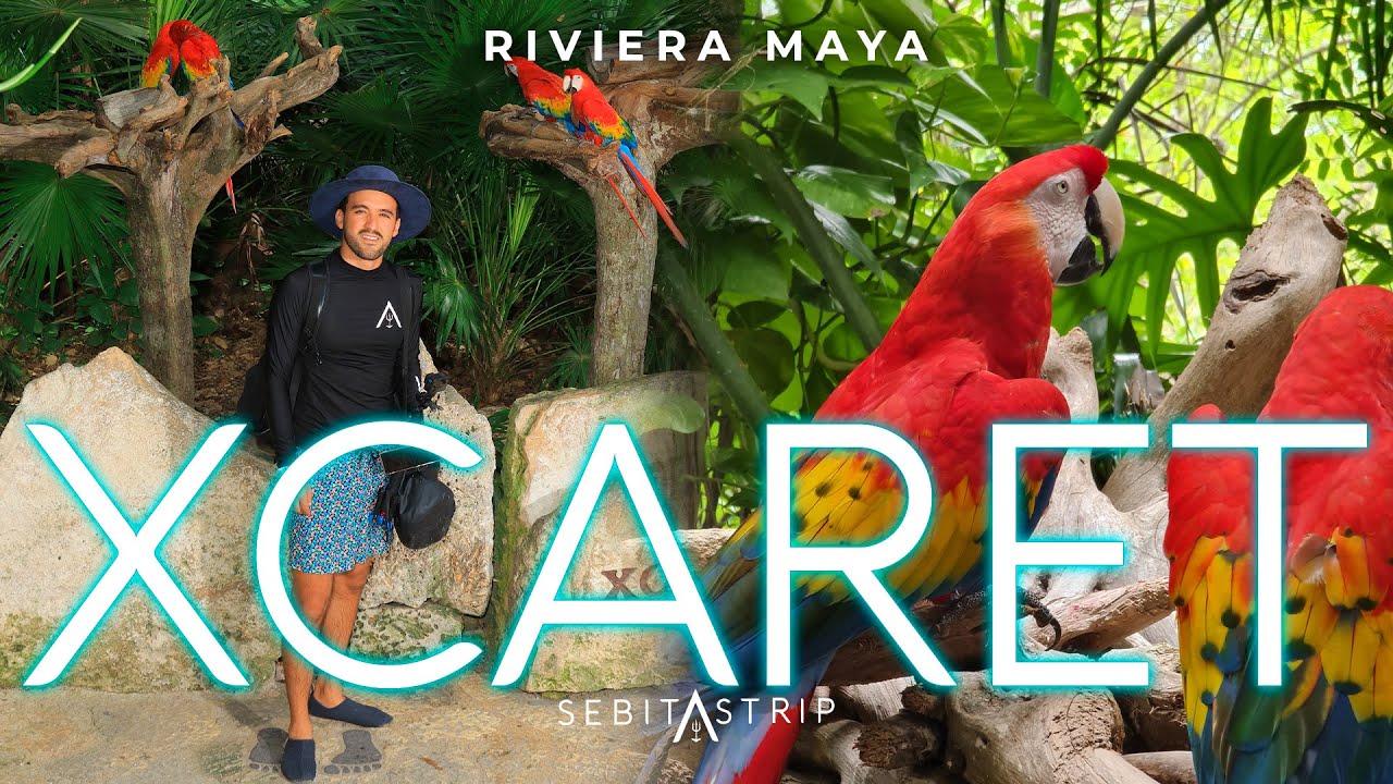 XCARET GUIA POR UN EXPERTO | ¿COMO APROVECHARLO EN UN DIA? | ¿CÓMO RESERVAR? @sebitastrip