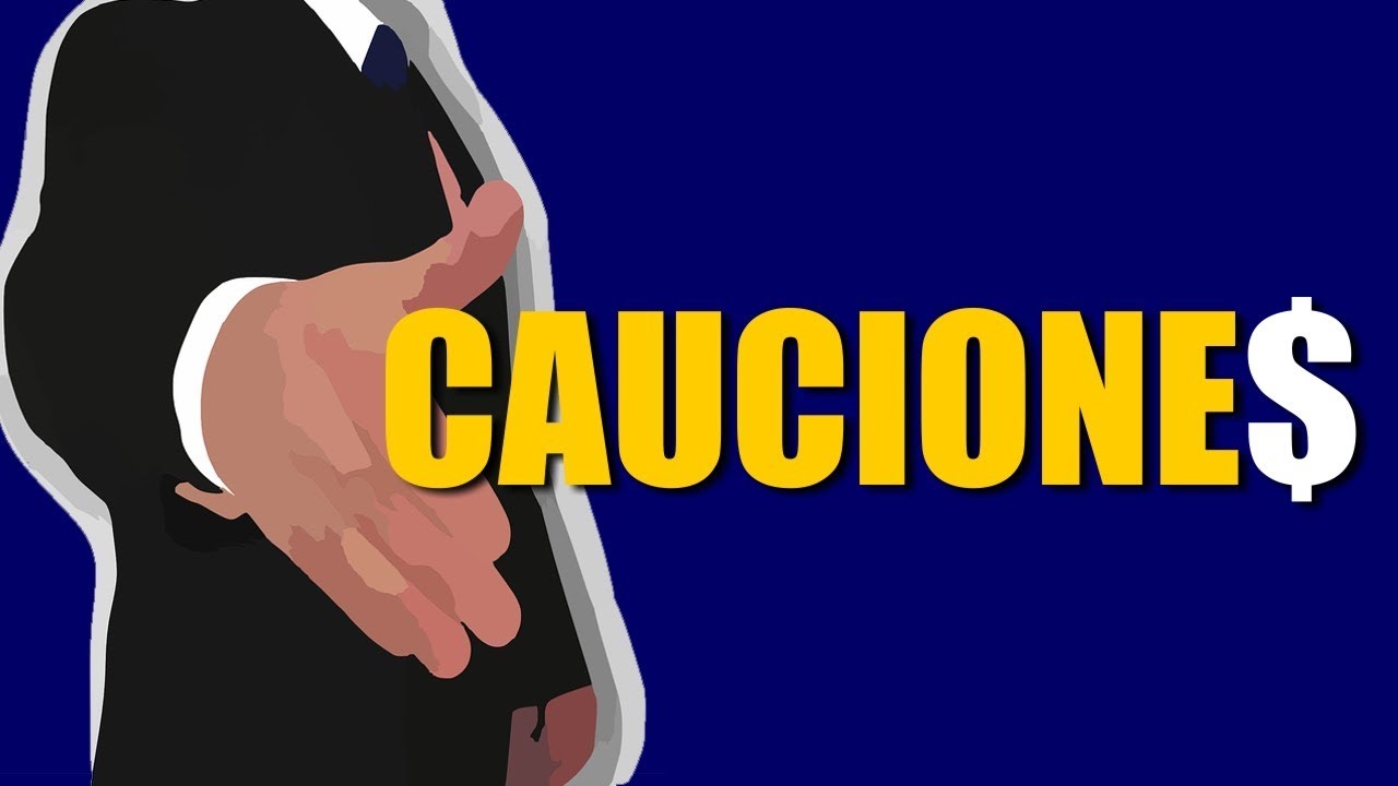 CAUCIONES &iquest;Qu&eacute; son las Cauciones? ✅📈 | Emprender Simple