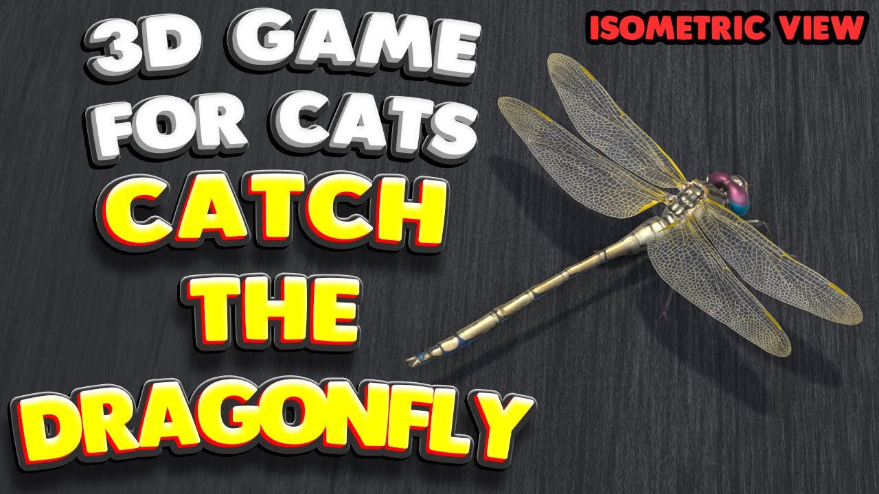 3D game for cats | Catch the DRAGONFLY (isometric view) | 4K, 60 fps, stereo sound