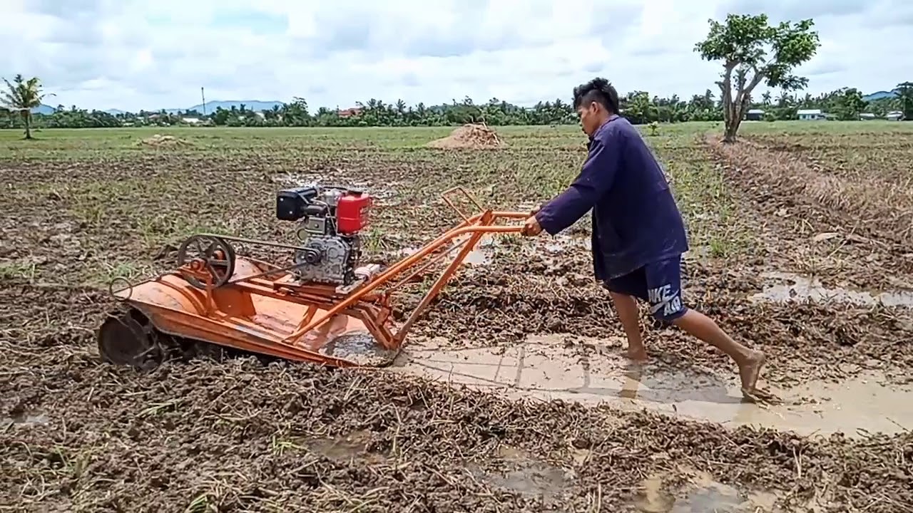 RICE FARMING | Rice Paddy Tillage with Turtle Power Tiller