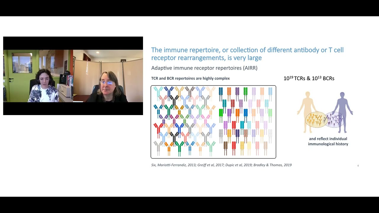 Quality Control Pipelines for T cell and B cell AIRR-seq