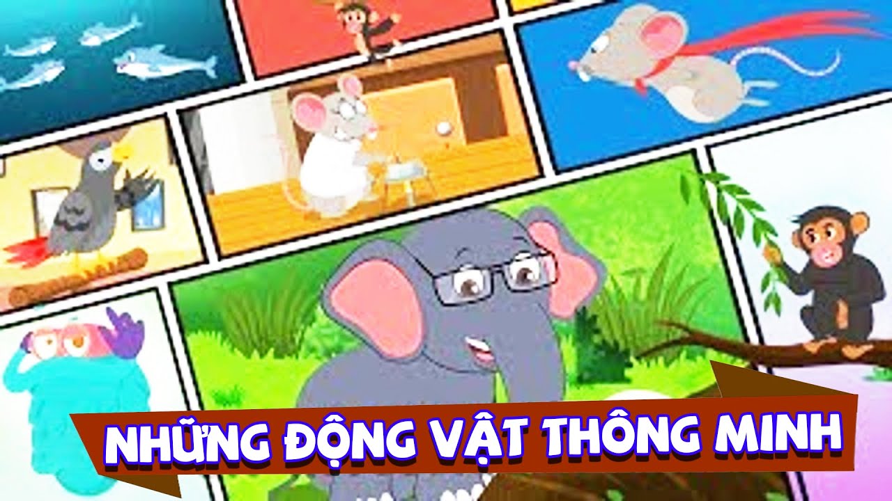 TOP Động Vật Thông Minh khiến con người chào thua | Vương Quốc Kiến Thức Của Binocs