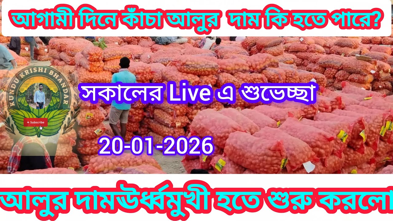 আজকে মার্কেট স্থিতিশীল রয়েছে,, নিজের বিচার বুদ্ধিকে কাজে লাগিয়ে আলু বিক্রি করুন, india potato news