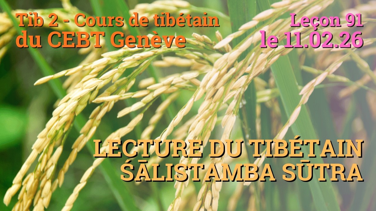 Tib 2 - Cours de tibétain ”pousse de riz” -  leçon 91, le 11.02.26-2