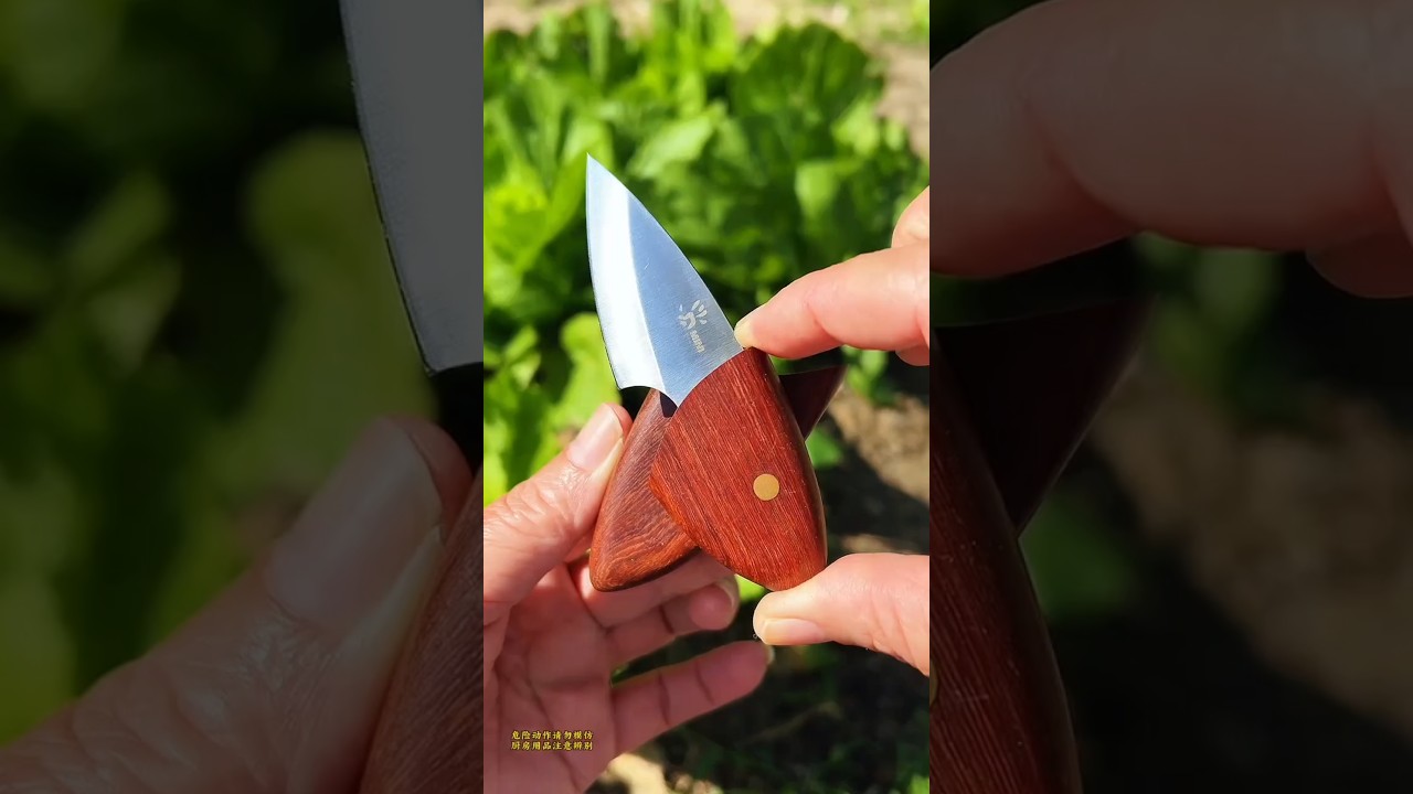#Fruit