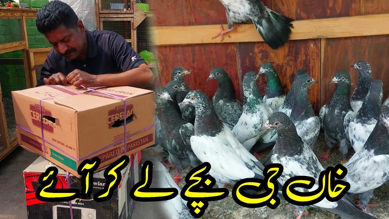 Khan Ji Ney Bachay Dilwaey 📲 03067960932