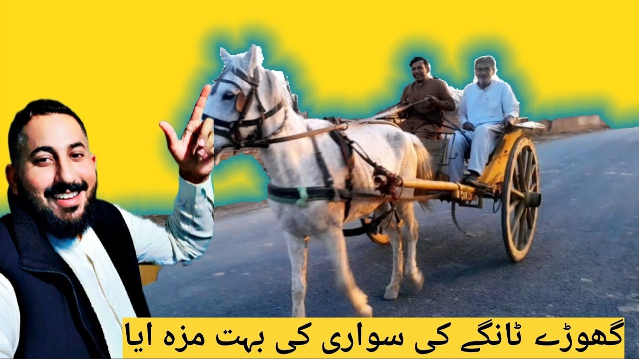 گھوڑے ٹانگے کی سواری کی بہت مزہ ایا🥰🥰🥰