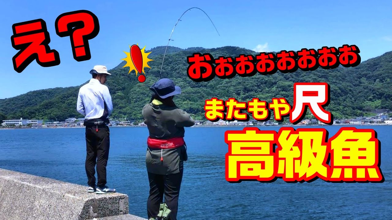 ごく普通の堤防で五目釣りしたら嫁にまたもや尺高級魚‼︎