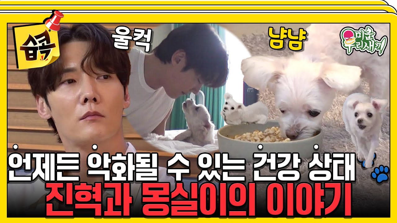 [#습콕📌] 만남이 있으면 헤어짐은 왜 와? 싫어... 싫어!!! 몽실이와 좋은 이별을 위한 진혁의 준비😭 #미운우리새끼 #MyLittleOldBoy #SBSenter