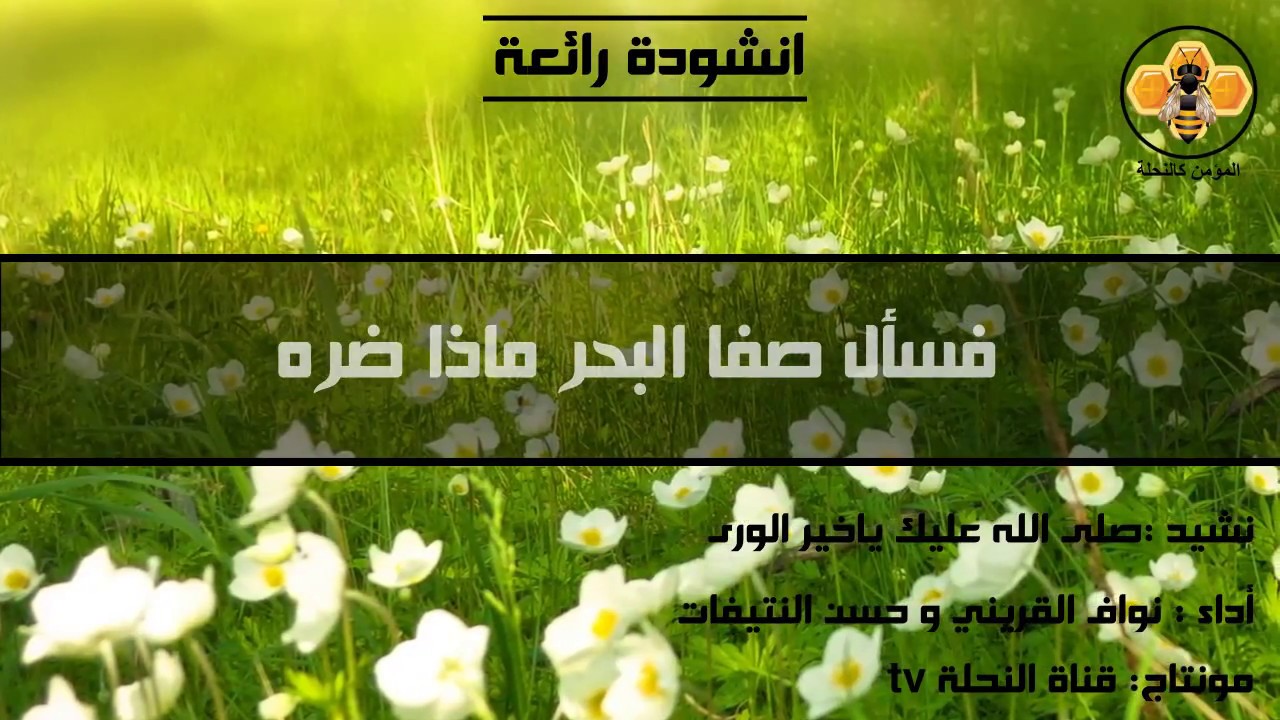 صلى الله عليك ياخير الورى ....أنشودة جميلة جدا