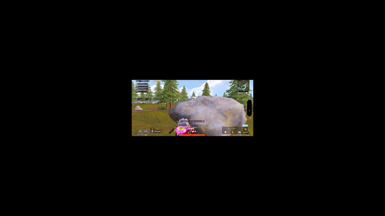 ULTEMATE ROYALE Goooo