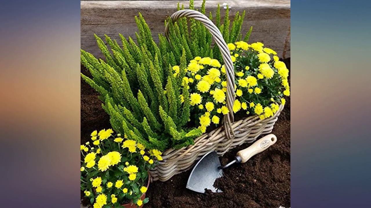 DeWit Potting Trowel, Garden Tool for Roots and Planting review
