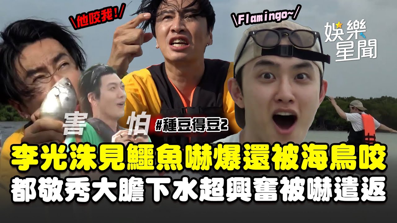 【種豆得豆2】李光洙見鱷魚嚇爆還被海鳥咬！金宇彬餵食也被搶XD 都敬秀大膽下水超興奮被嚇遣返｜三立娛樂星聞