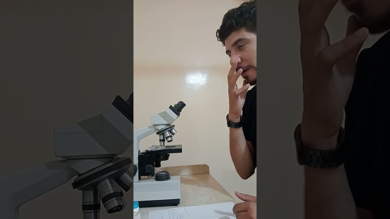 تحاليل GPT , GOT عملي - دبلومة الكيميائي - حلقة 7