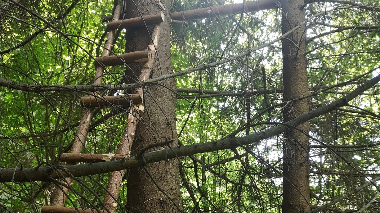 Posed na strome (časť 1)