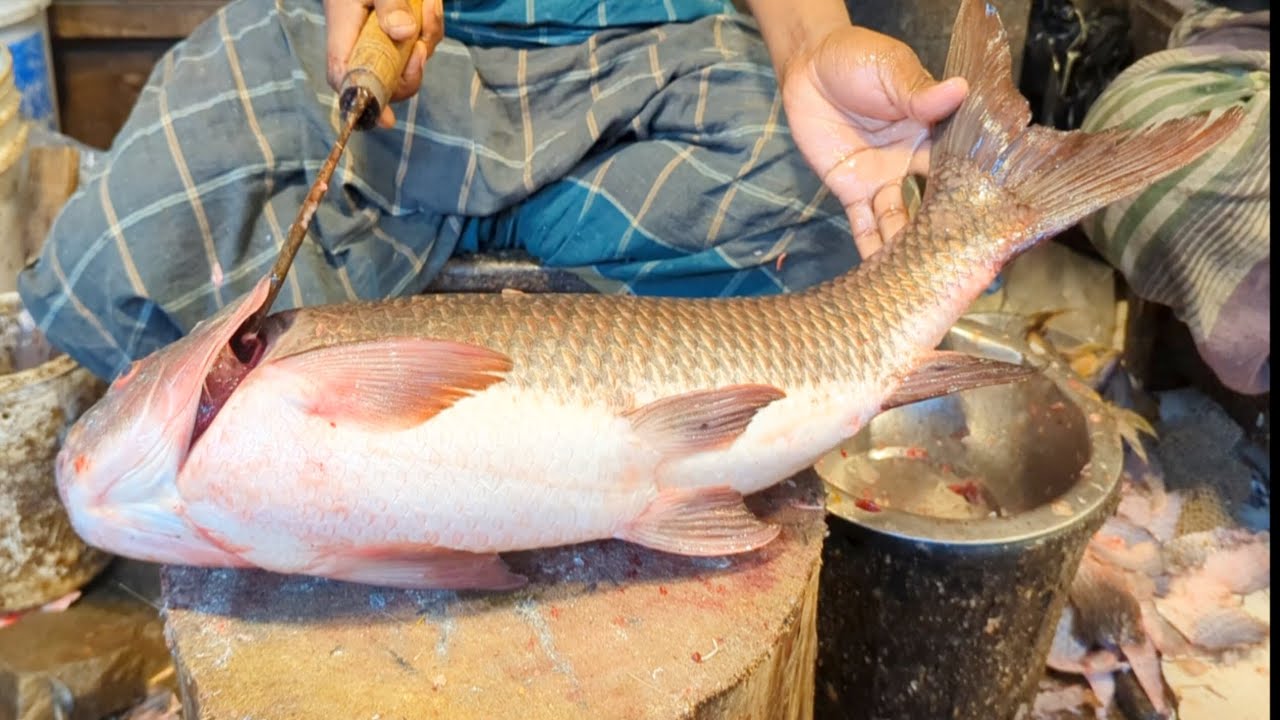 Fish Cutting Skills | Amazing Rohu Fish Cutting Skills In Bangladesh Fish Market 