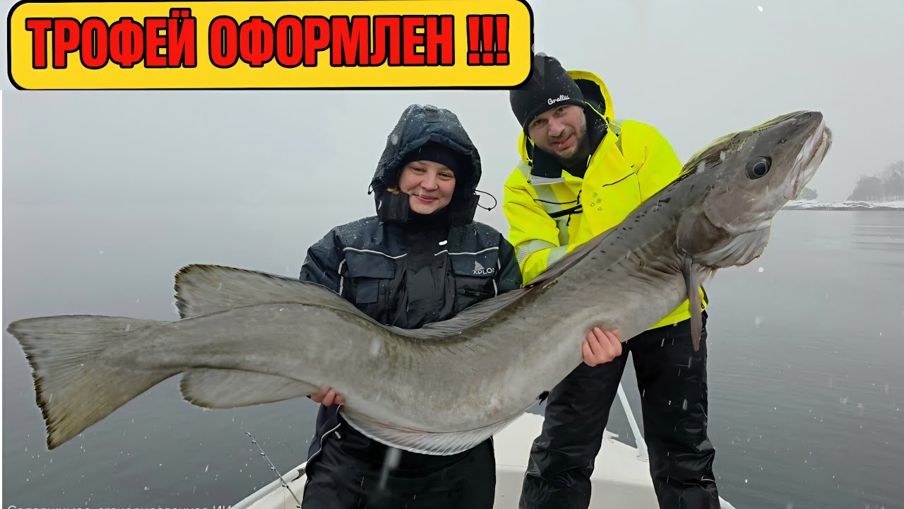 Первый снег — и сразу монстр! Рыбалка в Норвегии Norway. First snow — and a monster right away! 