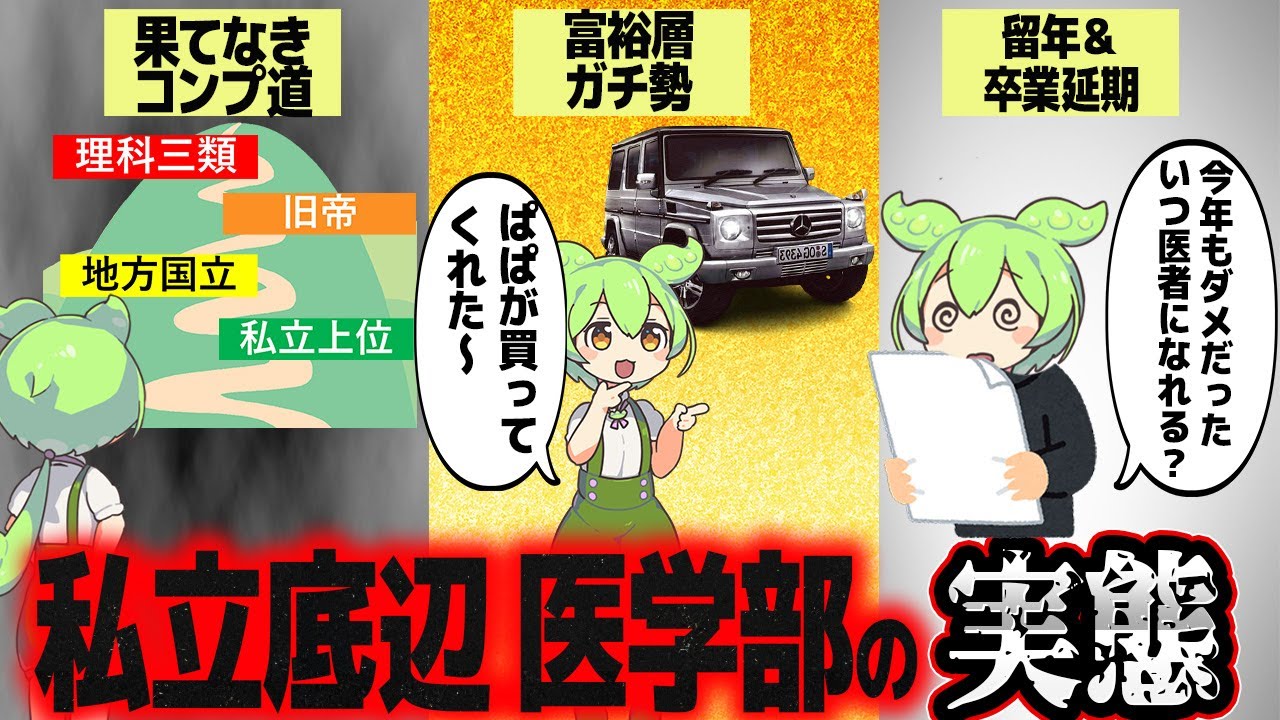 私立最底辺医学部の実態とは？【ずんだもん解説】