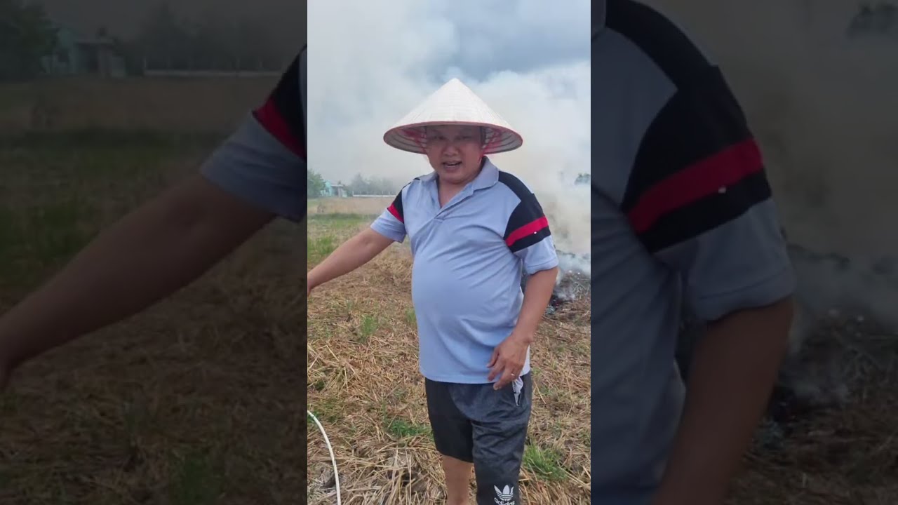 Dọn rác