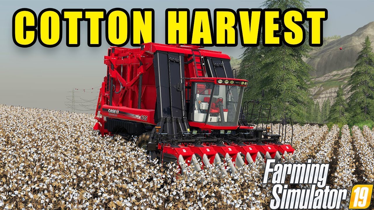 MY FIRST COTTON HARVEST | Farming Simulator 2019