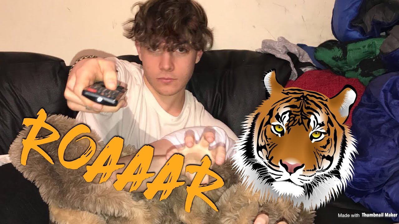 SPOONING A TIGER!! 🧐🐯