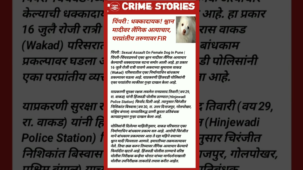 #crime #crimereports #crimestories #crimetime #wakad #hinjewadi #pune #mumbai #assaut #femaledog