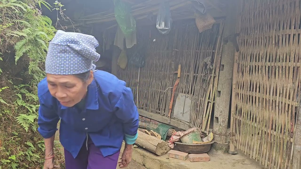 at 70 years old, she still works hard tending pigs and cutting grass to feed buffaloes.