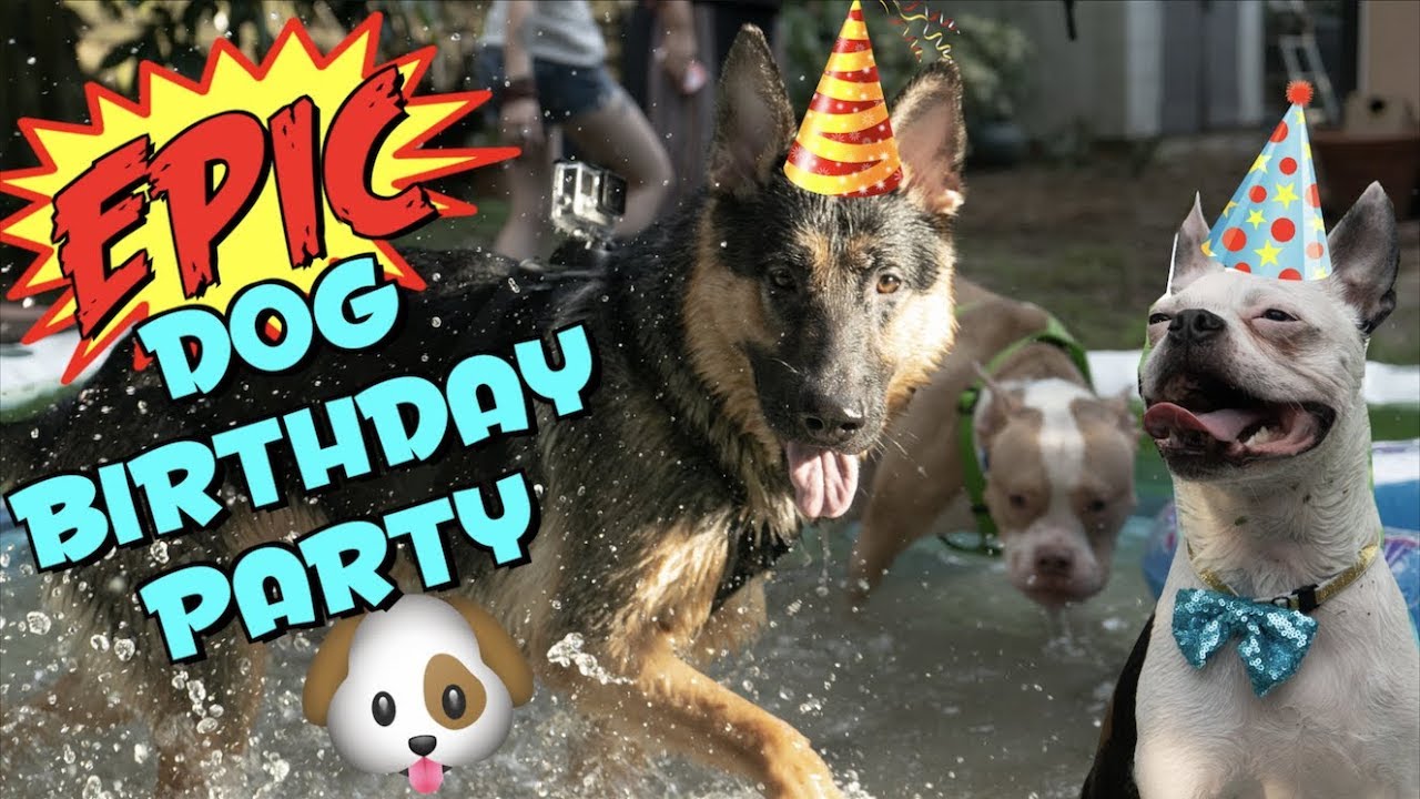 OUR DOGS EPIC BIRTHDAY PARTY | SUPER CUTE!!