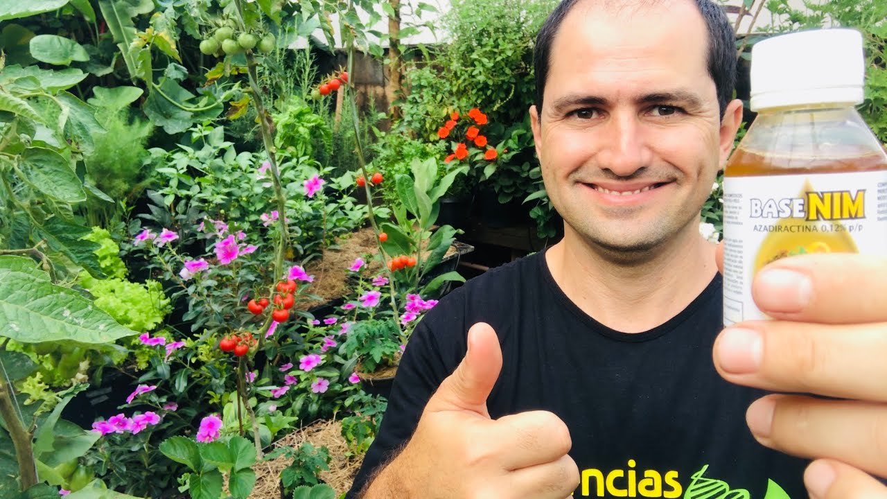 ÓLEO DE NEEM BENEFÍCIOS E PERIGOS / NÃO USE SEM VER O VÍDEO.