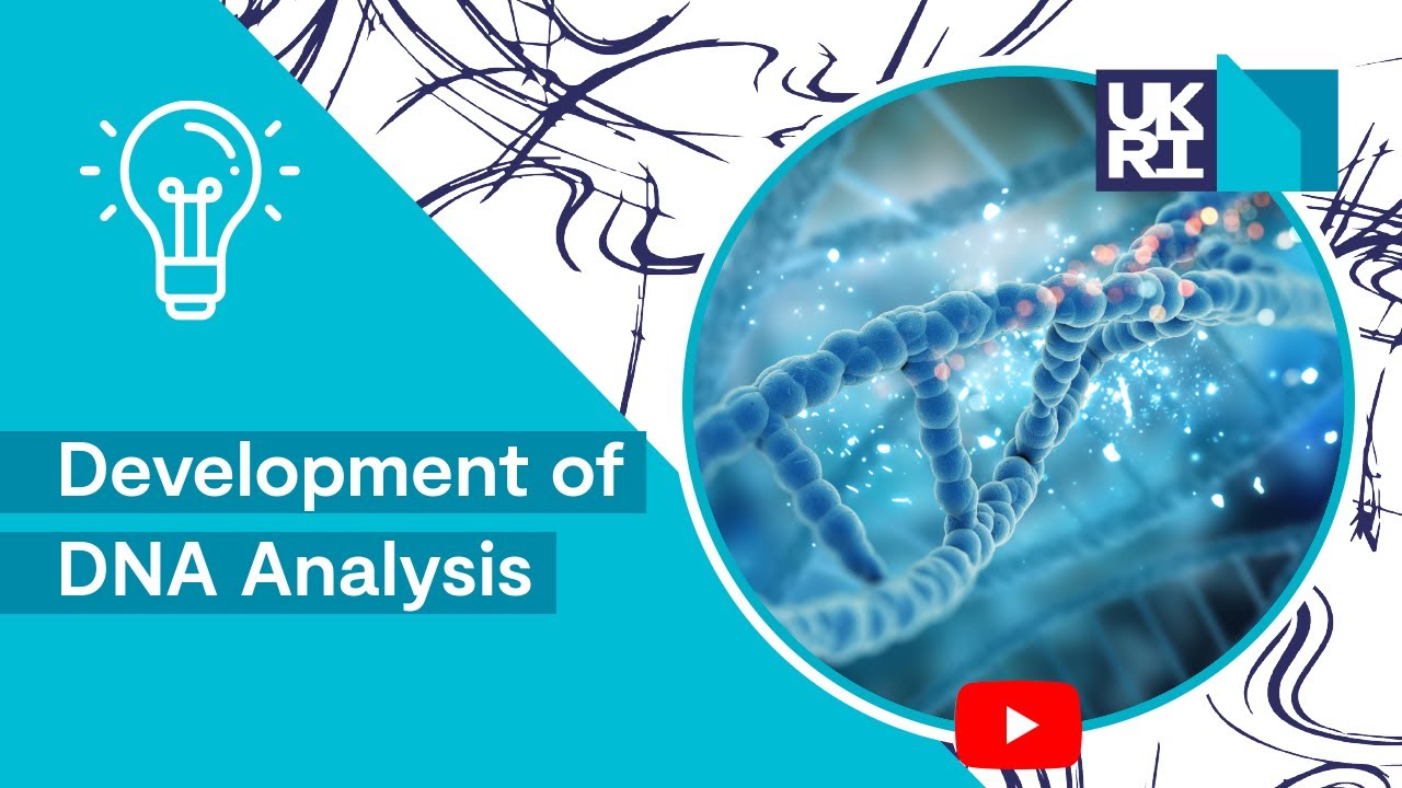 Development of DNA Analysis | From the Double Helix to the Southern Blot