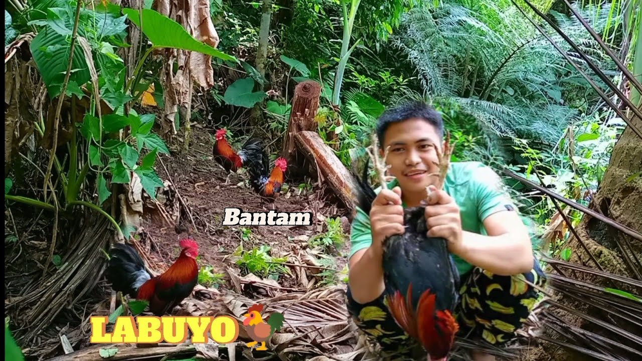 MAUNDY THURSDAY, NAKAHULI TAYO NG MISTISONG LABUYO MGA KA HUNTER!🐓